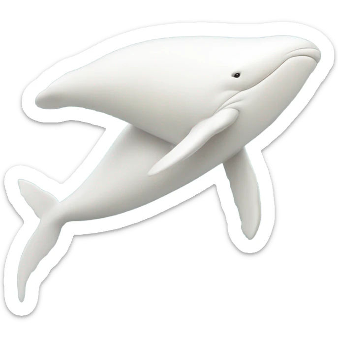 white whale , underside sticker