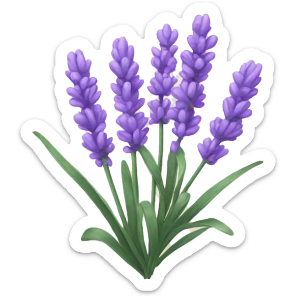 Lavender sticker