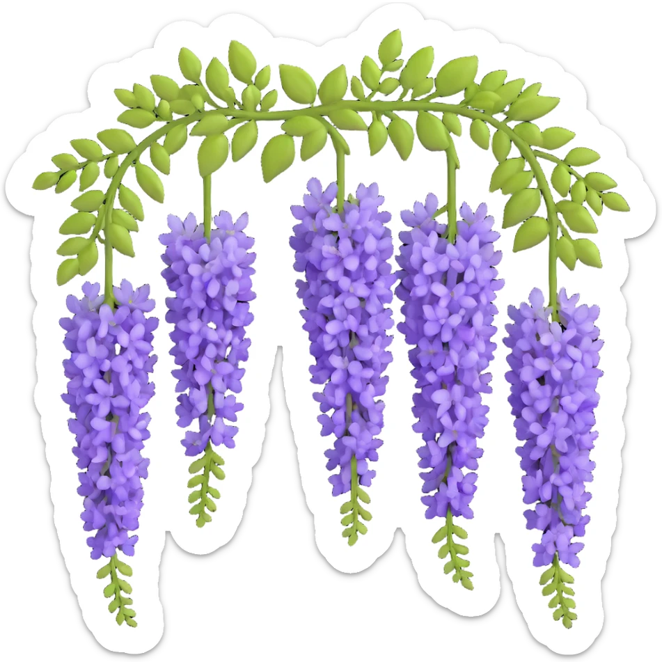 Detailed wisteria blossom with hanging clusters of lavender flowers in pendulous racemes and delicate green foliage sticker