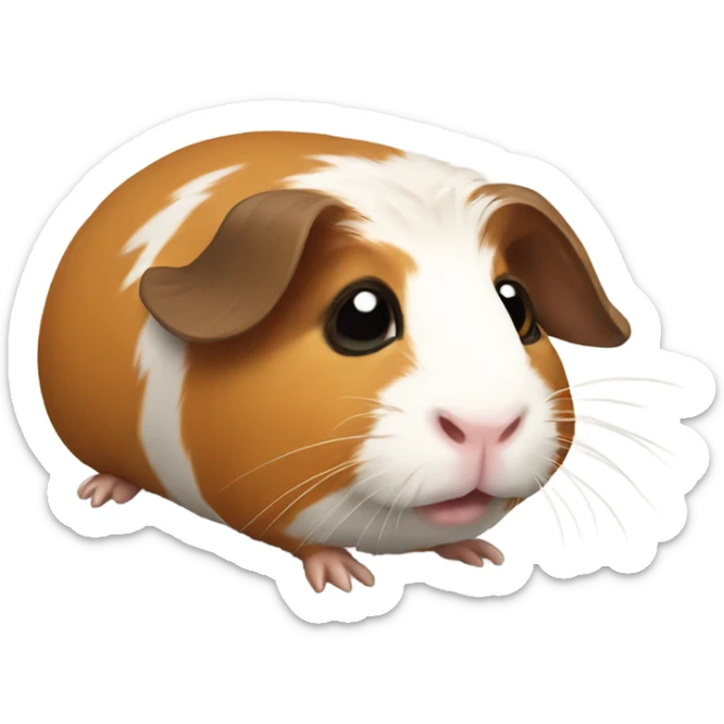 Guinea pig sticker
