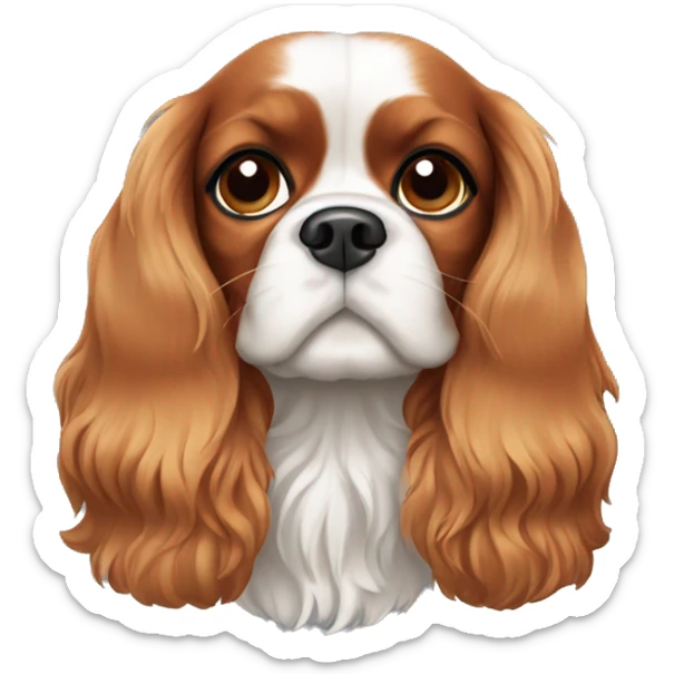 Cavalier King Charles Spaniel sticker