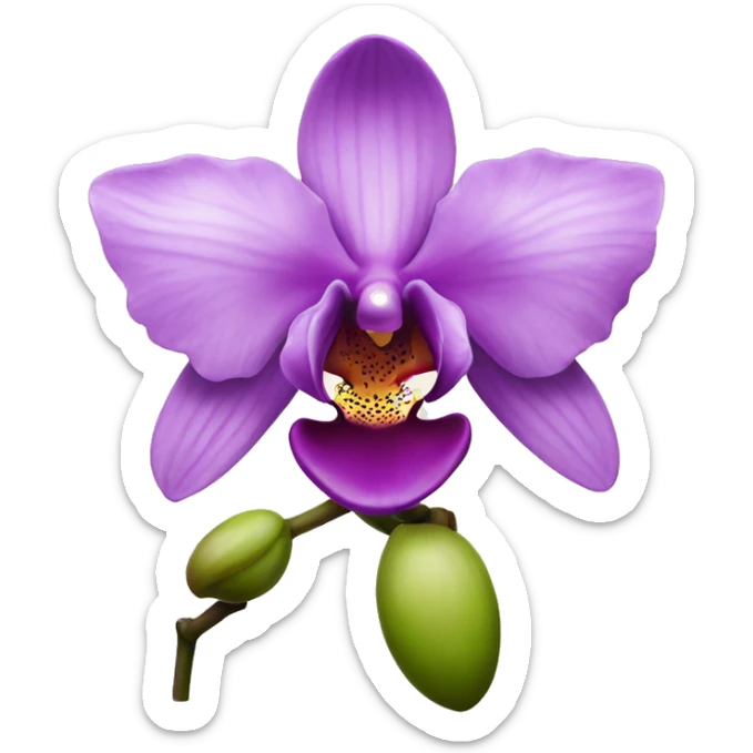orchid sticker