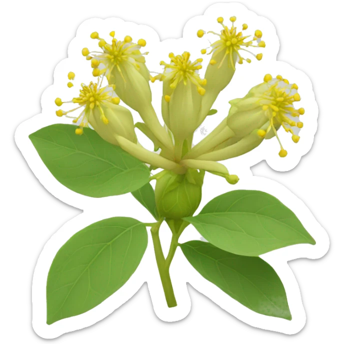 Ashwagandha flower with greenish-yellow petals and a central cluster of tiny yellow stamens sticker