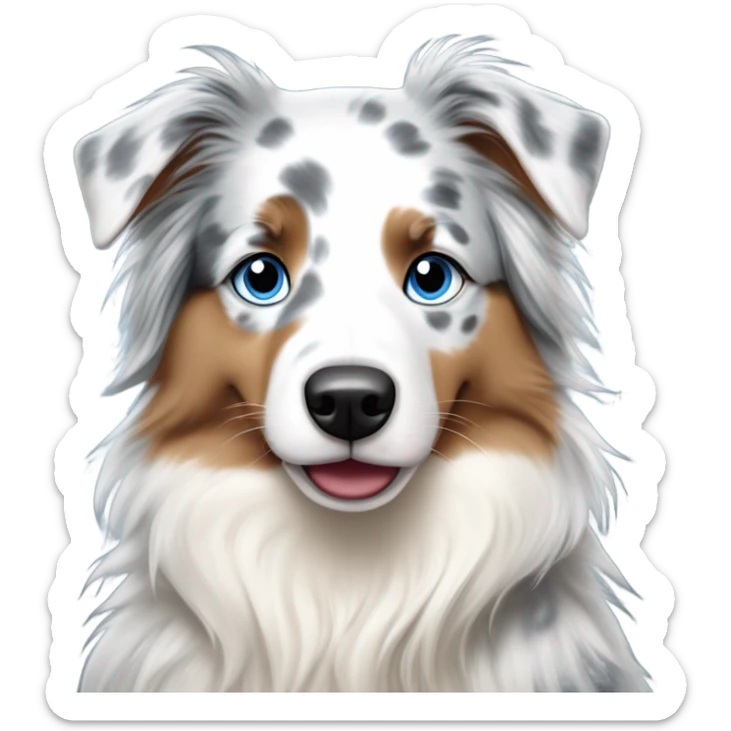 woman with blue eyes and long straight blonde hair is holding a very fluffy blue eyes, blue merle australian shepherd  sticker