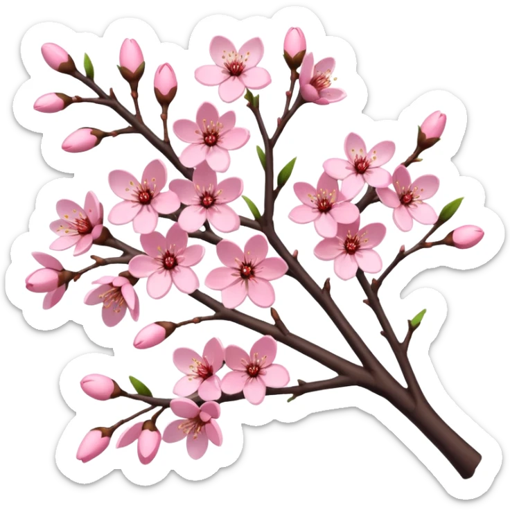 Realistic cherry blossom flowers, full bunches of flowers, on a tree, high definition, realistic branches  sticker