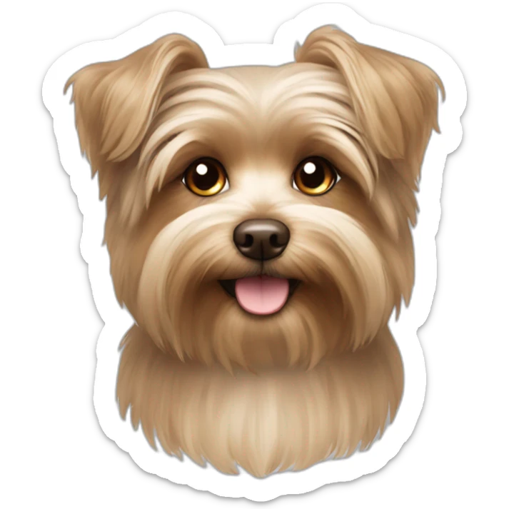 fluffy brown morkie dog with long hair and brown nose and greish ears sticker