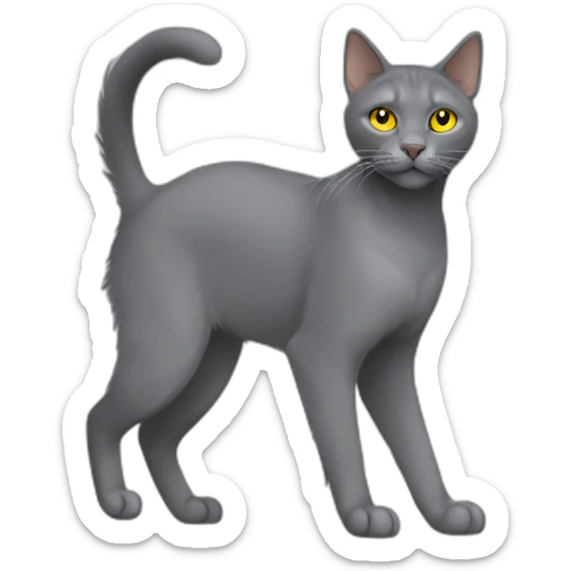 fluffy grey korat breed cat with yellow eyes black pupils, walking and playing female side view sticker
