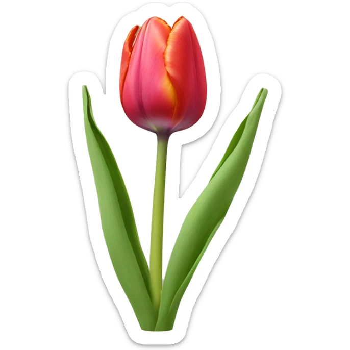Tulip with eyes sticker