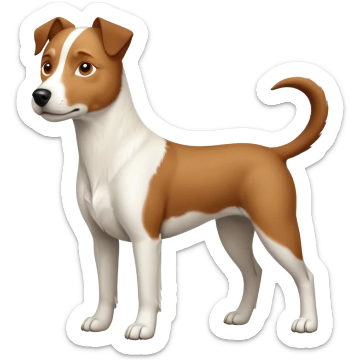 a full body large white parson russell looking dog the size of a kelpie with light brown flopped down ears and a light brown patch on one eye and a large snout sticker