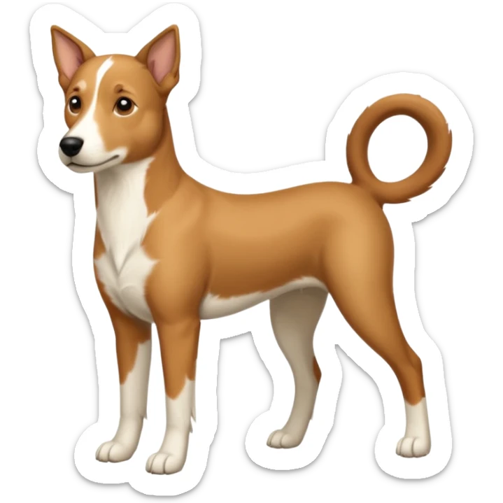 a full body white parsel russell looking dog the size of a kelpie with light brown ears and a light brown patch on one eye and a large snout sticker
