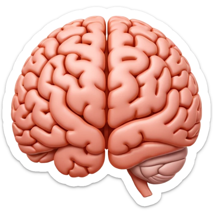 "Realistic 3D human brain emoji, detailed neural folds, soft reflections, glossy texture, subtle shadows, rounded friendly emoji shape, high resolution, transparent background" sticker