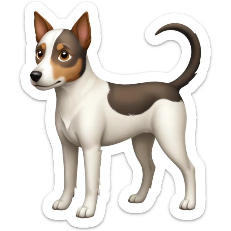 a full body large white parson russell looking dog the size of a kelpie with light brown flopped down ears and a light brown patch on one eye and a large snout sticker