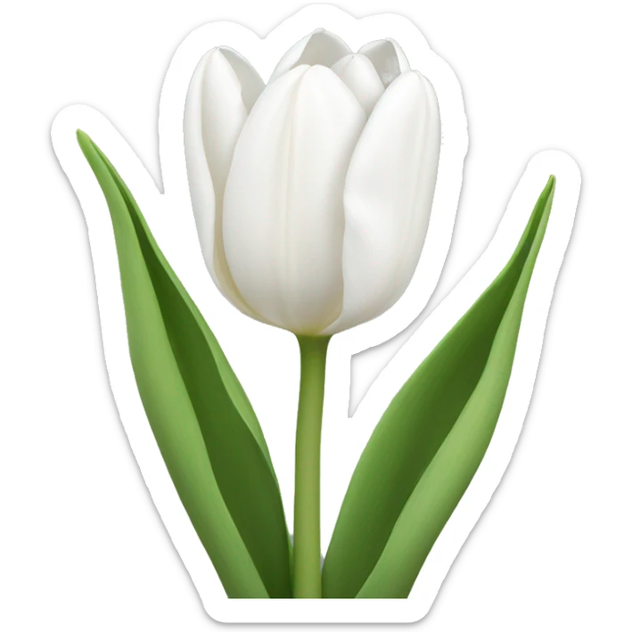 white tulips  sticker