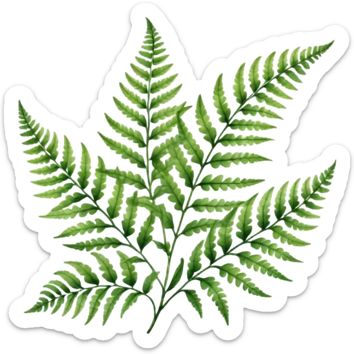 A close-up of a fern plant with intricate leaves, painted in soft watercolor greens with a subtle textured background.
 sticker