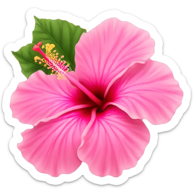 Pink hibiscus  sticker