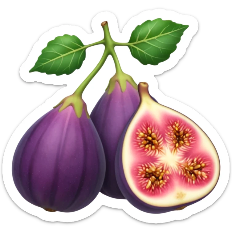 Fig sticker