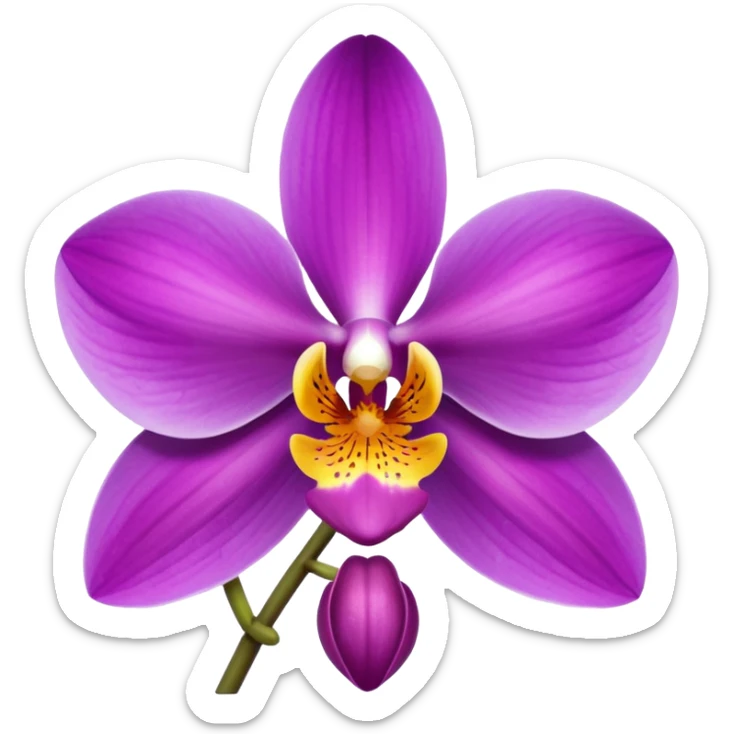 Orchid sticker