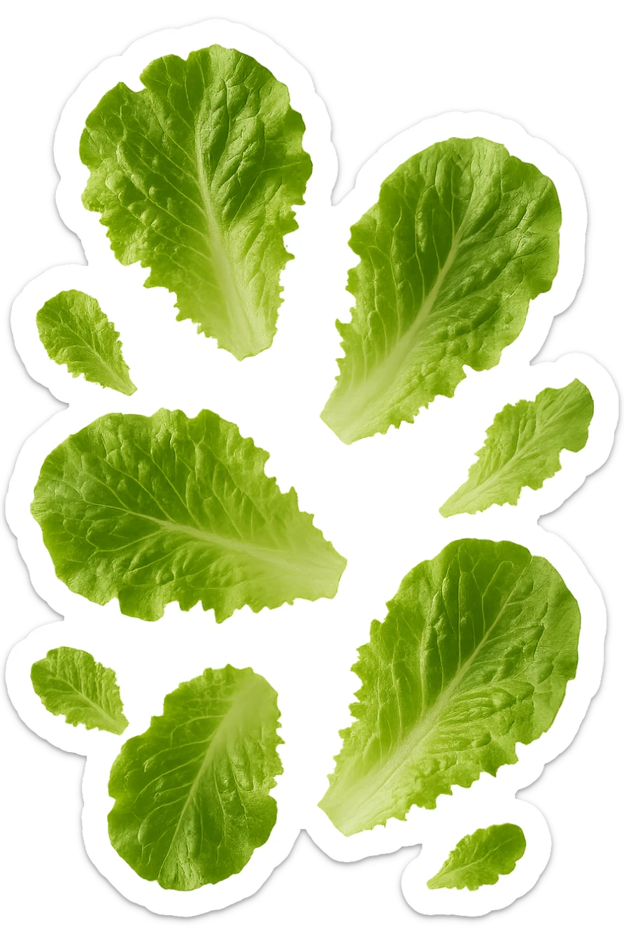 foglie di insalata fluttuano in aria, iperrealistico, non disegnato sticker