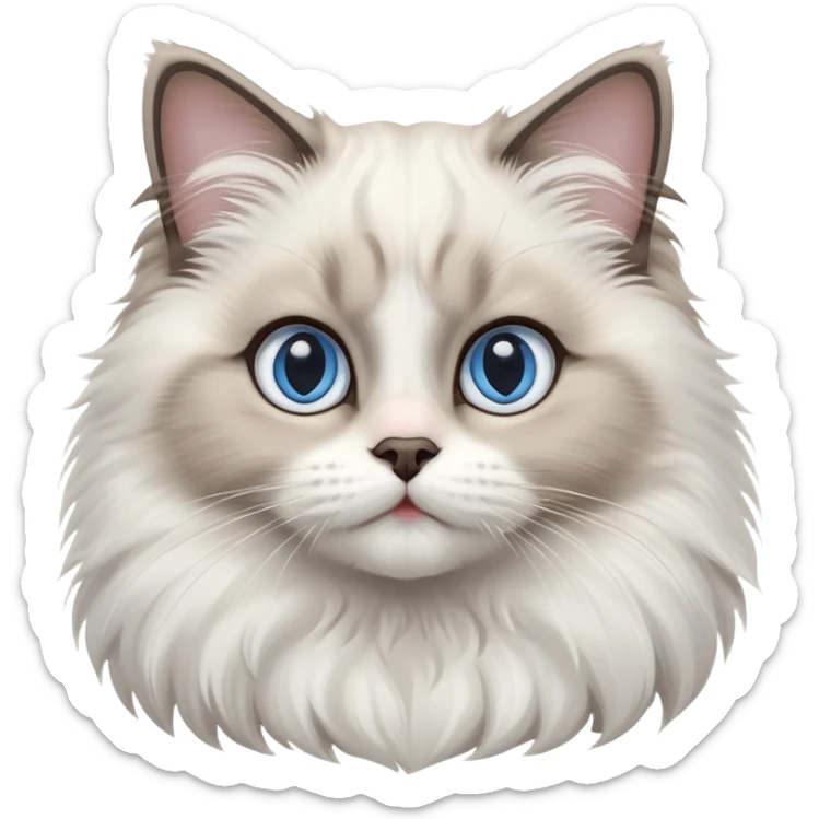 cinematic-adorable-big-eyed-fluffy-ragdoll-cat-portrait-emoji,-head-tilted-playfully-with-a-sweet-expression,-fluffy-white and grey-fur,-simplified-yet-irresistibly-cute-features-with-large,-expression, blue eyed ragdoll cat sticker
