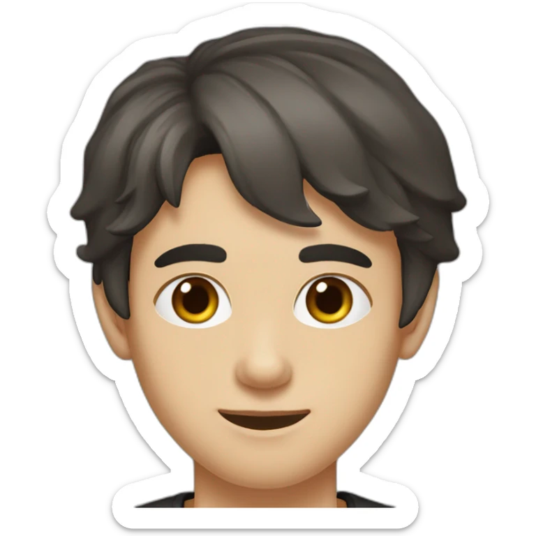 portrait of 18 years old guy, dark brown hair bangs to the left, gray eyes, black T-shirt sticker