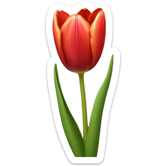tulips  sticker