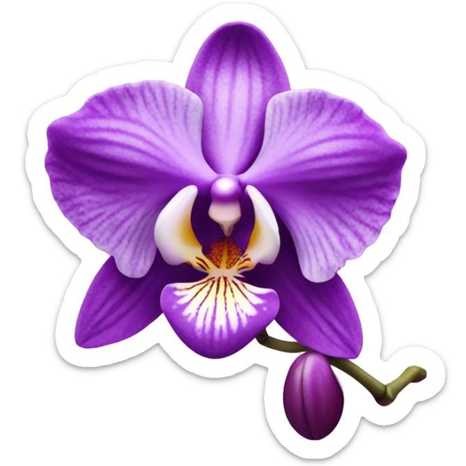 orchid  sticker