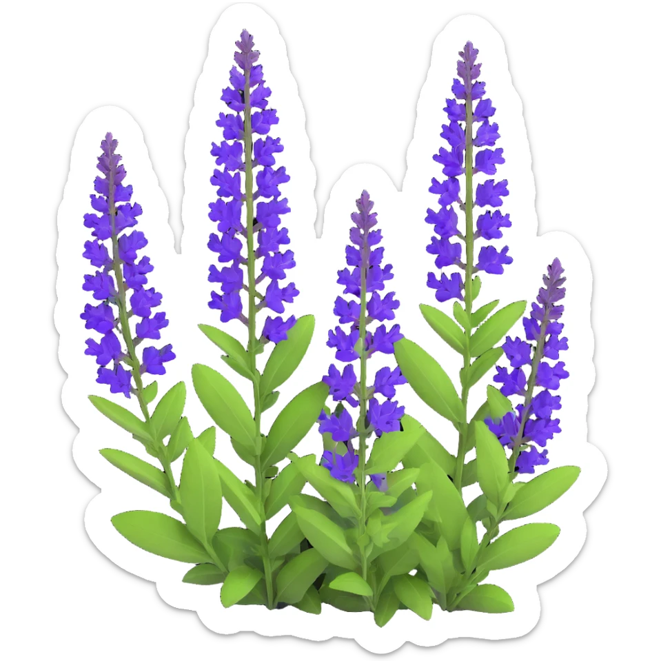 3D iOS cartoon style illustration of Salvia nemorosa with bright purple flowers, rich green leaves, expressive shadows and light accents, cartoon style, volumetric, transparent background sticker