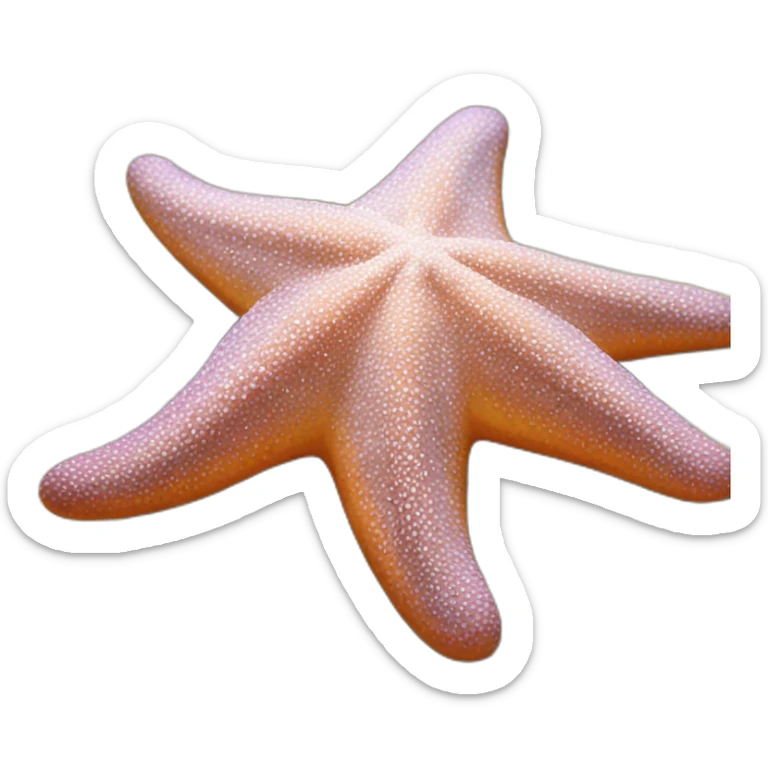 Starfish sticker
