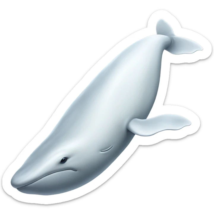 white whale , underside sticker