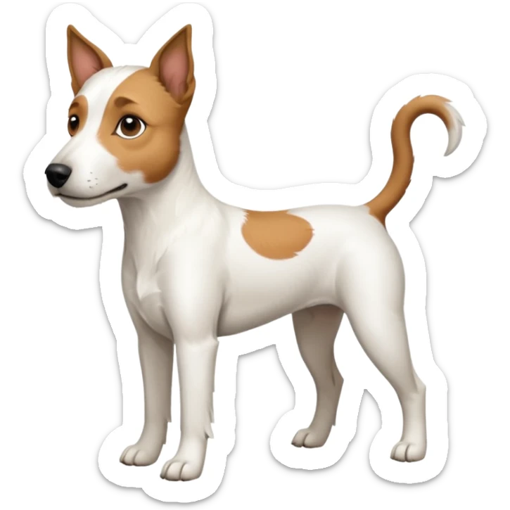 a full body white parson russell looking dog the size of a kelpie with light brown ears and a light brown patch on one eye and a large snout sticker