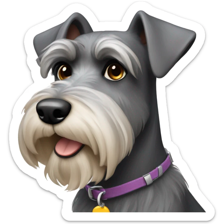 Schnauzer sticker