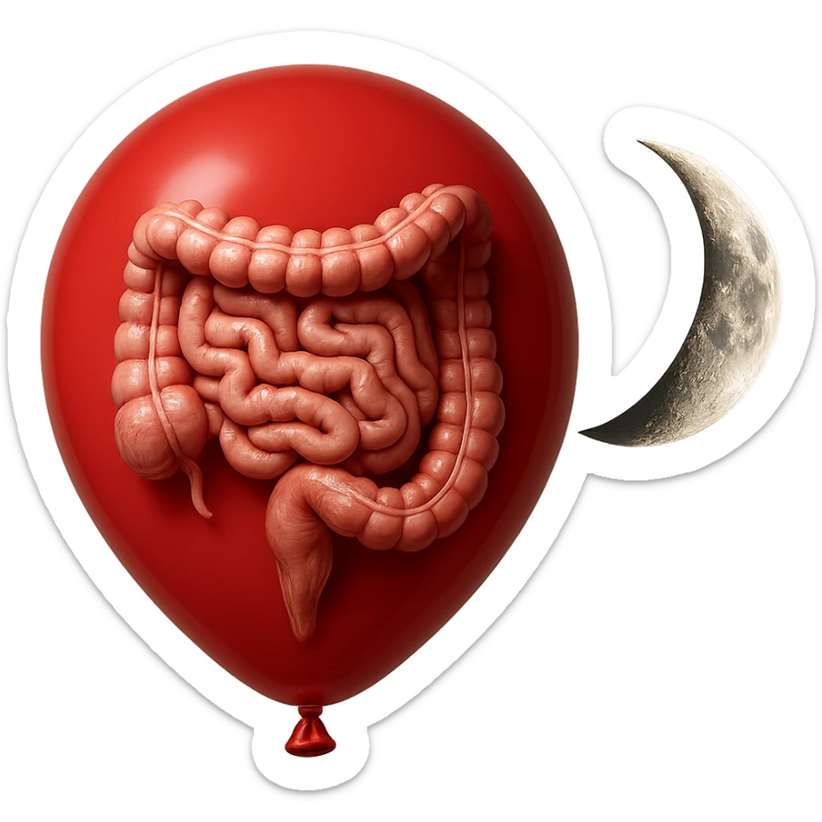 intestino umano anatomico chiuso in un palloncino rosso che simboleggia gonfiore, accanto una mezza luna che simboleggia "gonfiori di sera", iperrealistico 4k sticker