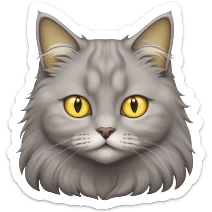 grey fluffy british long hair cat with yellow eyes cuteer without furr in the ears sticker