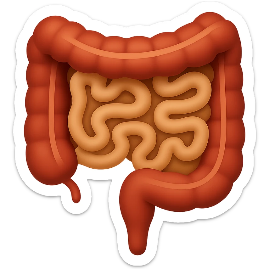 Create an emoji of a human intestine similar to the reference image in the style of Apple emoji with a transparent background. sticker