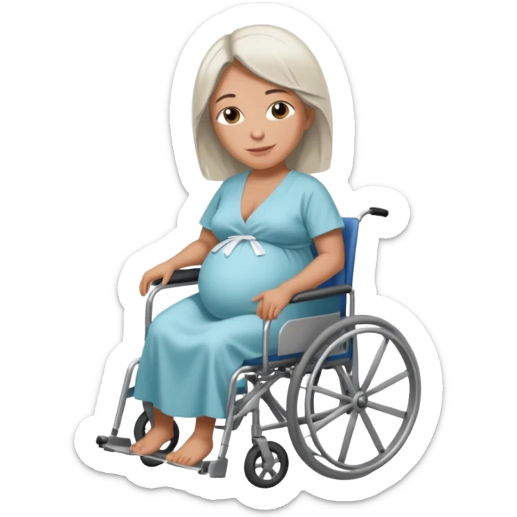 new york financier disgraced billionaire Jeffery Epstein in a wheelchair pregnant sticker