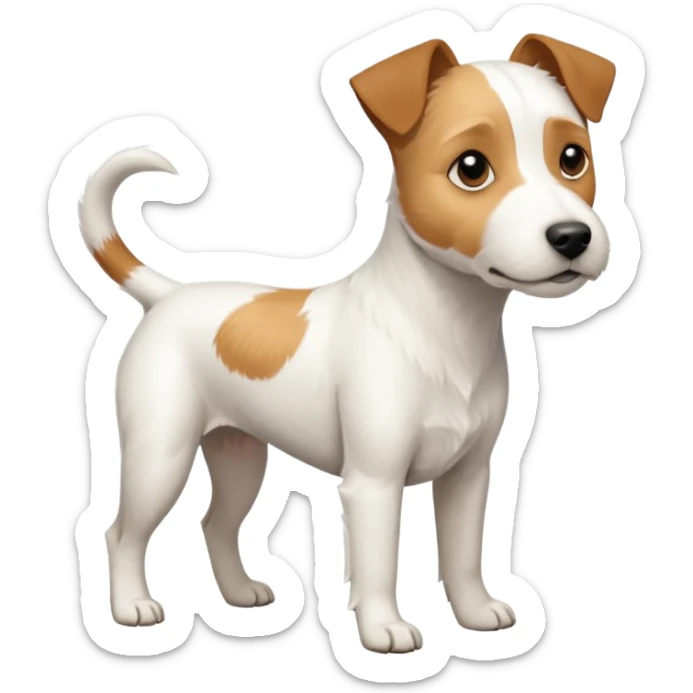 a full body white parson russell looking dog the size of a kelpie with light brown ears and a light brown patch on one eye and a large snout sticker