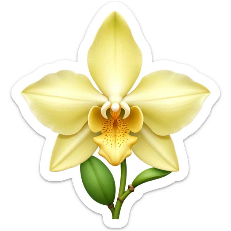 realistic vanilla orchid, full bloom, pale yellow to creamy white petals, trumpet-shaped center, gentle curvature, fine petal texture, optional green stem or vanilla pod, no background, no leaves, no decorative elements, no faces, clean 3D, soft lighting, transparent background, emoji scale sticker