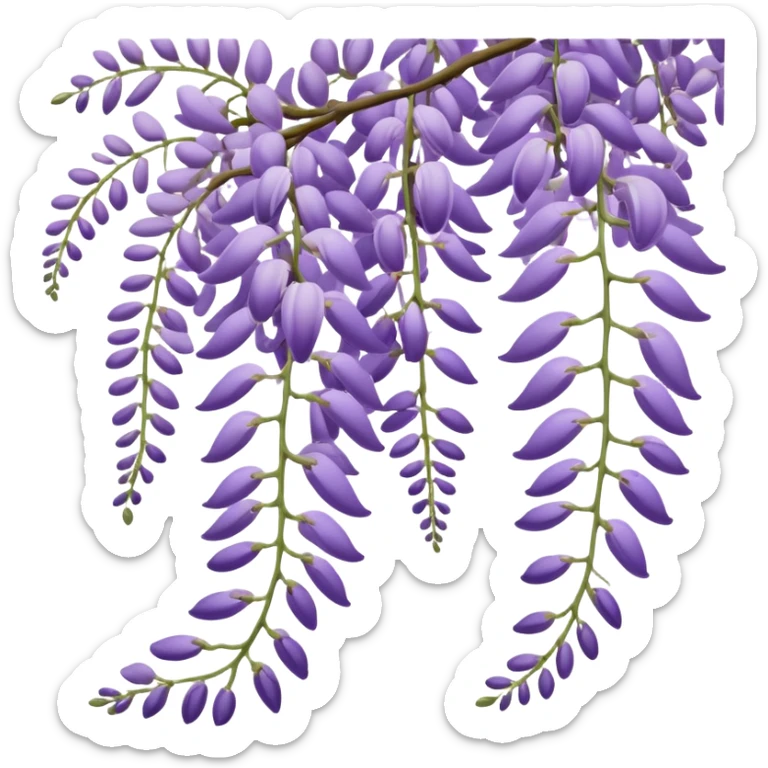 Japanese style wisteria (fuji) flower in elegant ukiyo-e inspired design, cascading purple blooms hanging like in traditional Japanese gardens, with gentle curved lines sticker