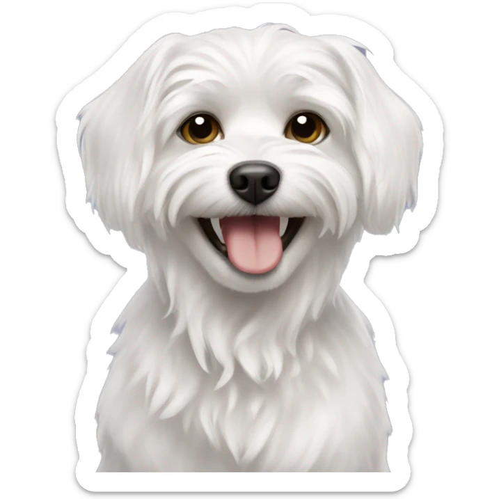 A white Maltese dog around 13 years old slightly smiling with toilet paper clenched in its teeth sticker