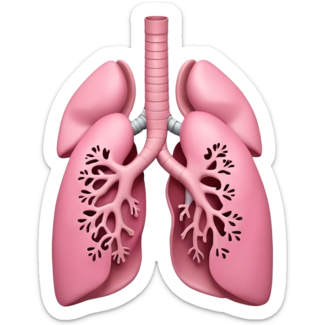A 3D cartoon anatomical illustration of human lungs with trachea and bronchi, soft lighting, Memoji-style. sticker