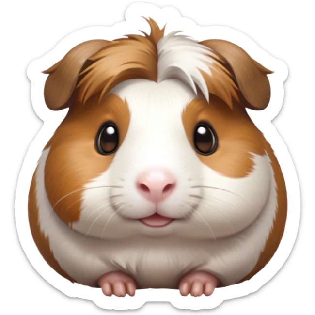 Cinematic Cute Brown and White Banded Guinea Pig Portrait Emoji, Head tilted playfully and inquisitively, showcasing a fluffy fur with playful brown and white banded patterns, round, sparkling dark eyes filled with curiosity, Simplified yet irresistibly adorable features, highly detailed, glowing with a warm, friendly glow, high shine, affectionate and spirited, stylized with a touch of whimsy, bright and endearing, soft glowing outline, capturing the essence of a mischievous yet loving guinea pig, so playful it feels like it could dash out of the screen and into your arms! sticker