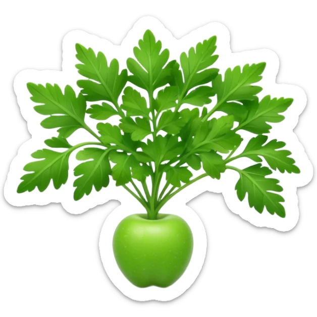 Apple style 3D emoji of fresh parsley, small green leaves with curly texture, shiny and smooth, simple toy-like look, similar to official Apple food emojis. sticker