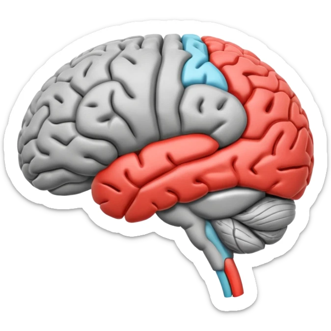 emoji icon of side view of an anatomically correct human brain with details of the brain structure and in detailed 3d rendring, colored to highlight different sections sticker