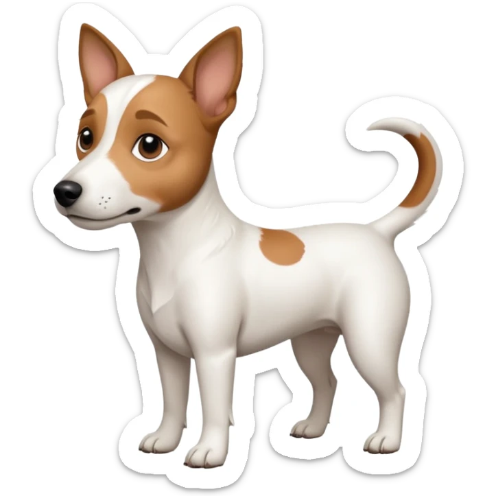 a full body white jack russel looking dog the size of a kelpie with light brown ears and a light brown patch on one eye, flopped down ears and a large snout sticker