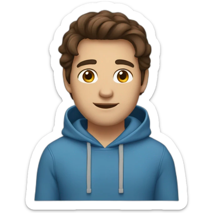 guy with middle long brown hair, big brown eyes and blu hoodie sticker
