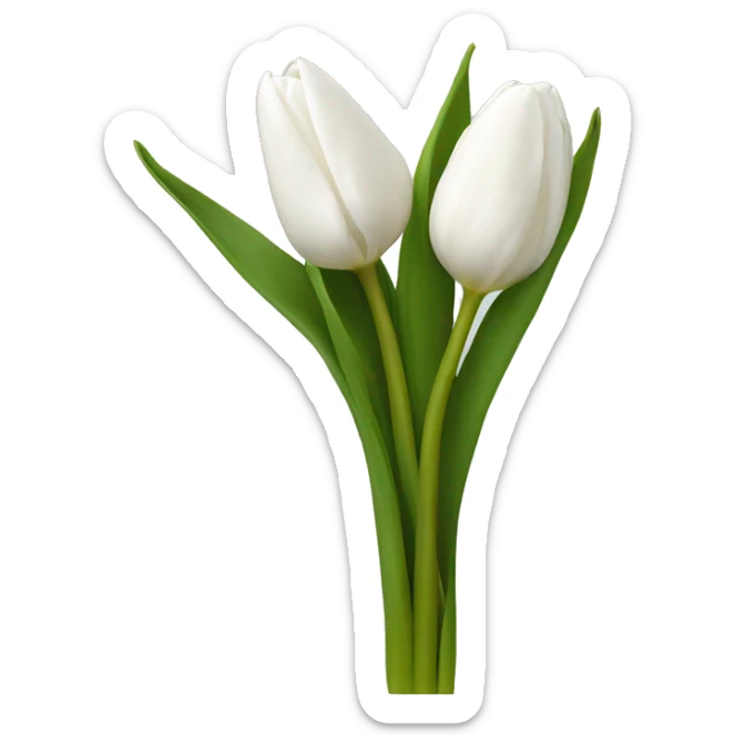 White tulips sticker