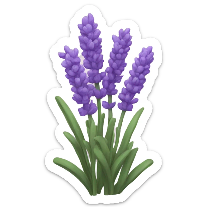 Lavender sticker