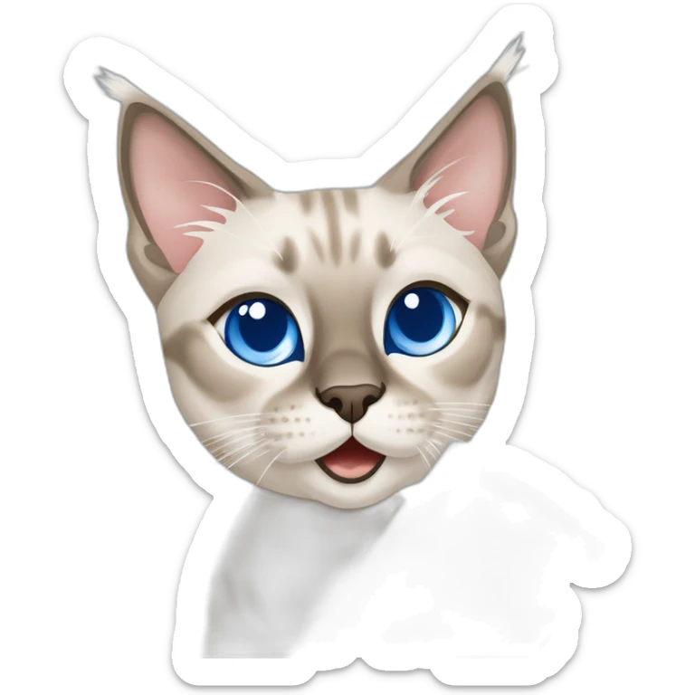 lynx point siamese cat with blue eyes playing with roll of white paper towels sticker