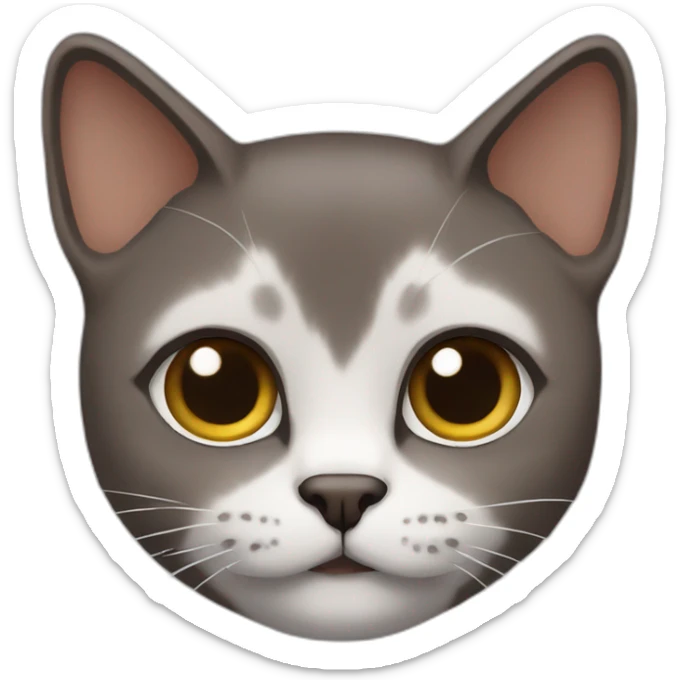 dark brown male orienal shorthair cat head sticker