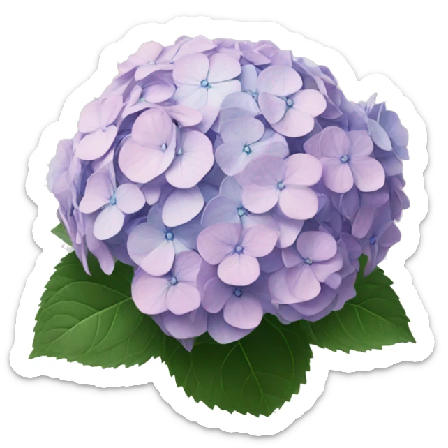 hydrangea sticker